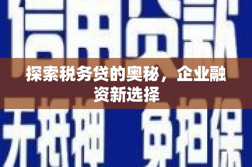 阿莲探索税务贷的奥秘，企业融资新选择