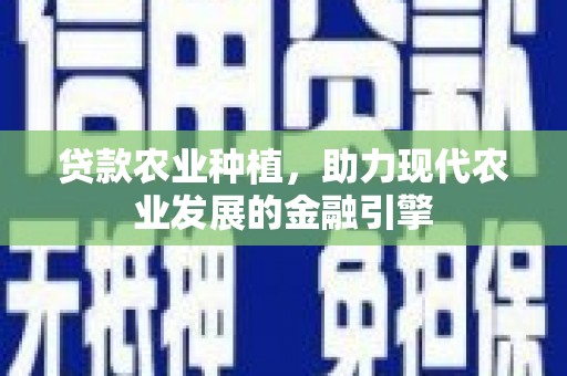阿莲贷款农业种植，助力现代农业发展的金融引擎