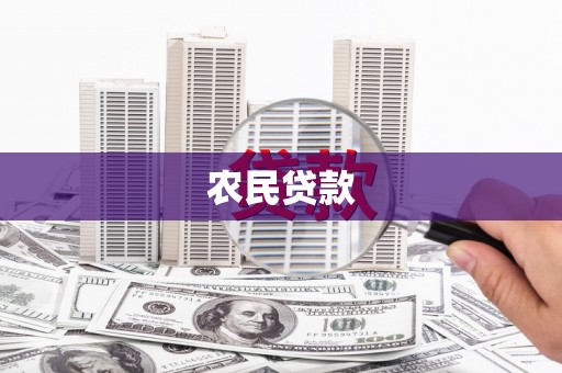 阿莲农民贷款