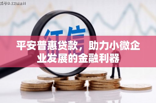 阿莲平安普惠贷款，助力小微企业发展的金融利器