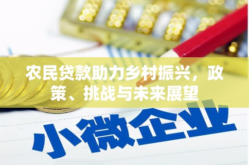 阿莲农民贷款助力乡村振兴，政策、挑战与未来展望