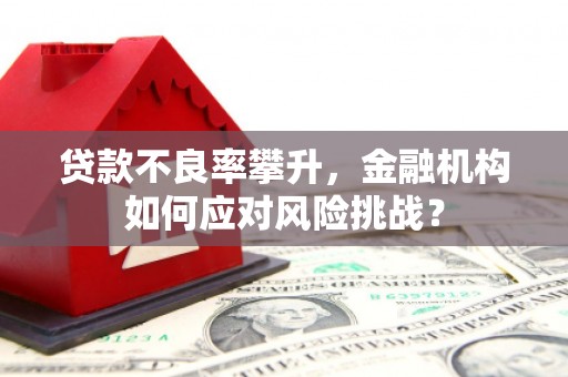阿莲贷款不良率攀升，金融机构如何应对风险挑战？