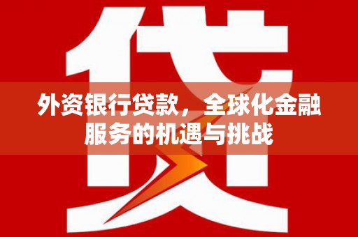 阿莲外资银行贷款，全球化金融服务的机遇与挑战