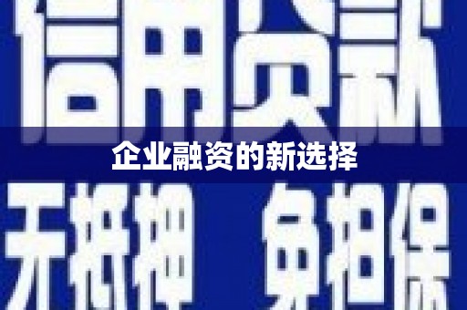 阿莲企业融资的新选择