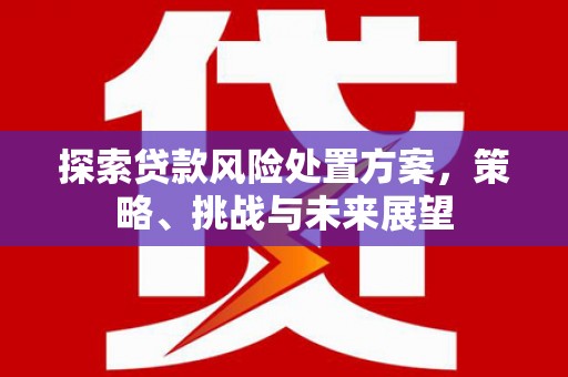 阿莲探索贷款风险处置方案，策略、挑战与未来展望