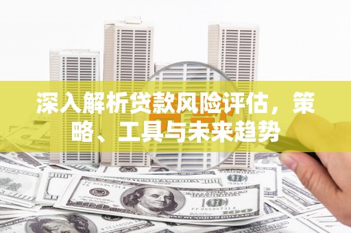阿莲深入解析贷款风险评估，策略、工具与未来趋势