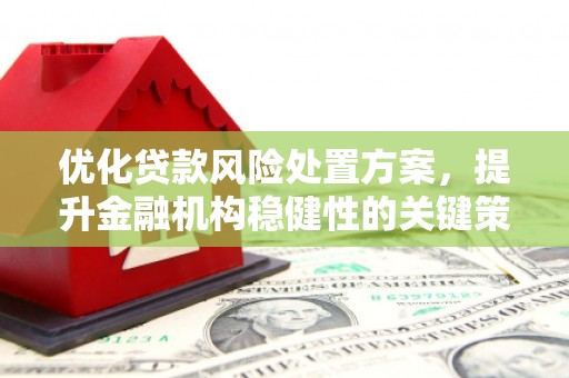 阿莲优化贷款风险处置方案，提升金融机构稳健性的关键策略