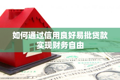 阿莲如何通过信用良好易批贷款实现财务自由