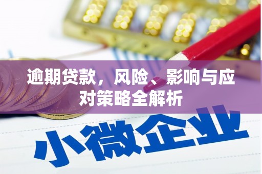 阿莲逾期贷款，风险、影响与应对策略全解析