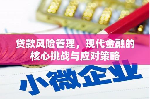 阿莲贷款风险管理，现代金融的核心挑战与应对策略