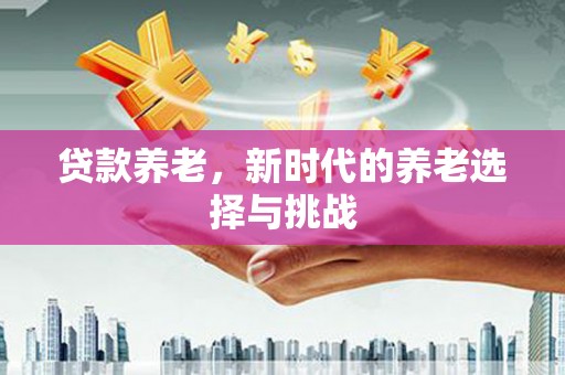 阿莲贷款养老，新时代的养老选择与挑战