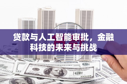 阿莲贷款与人工智能审批，金融科技的未来与挑战
