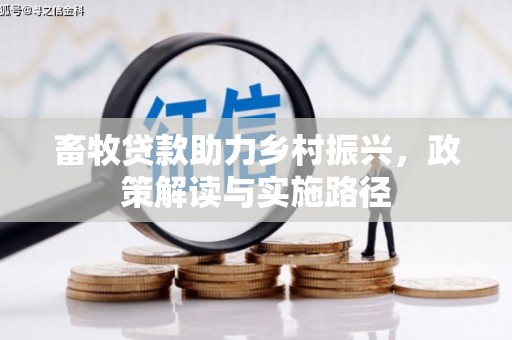 阿莲畜牧贷款助力乡村振兴，政策解读与实施路径