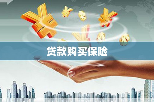阿莲贷款购买保险