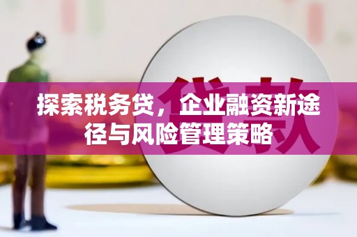 阿莲探索税务贷，企业融资新途径与风险管理策略