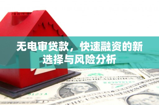 阿莲无电审贷款，快速融资的新选择与风险分析