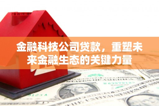 阿莲金融科技公司贷款，重塑未来金融生态的关键力量