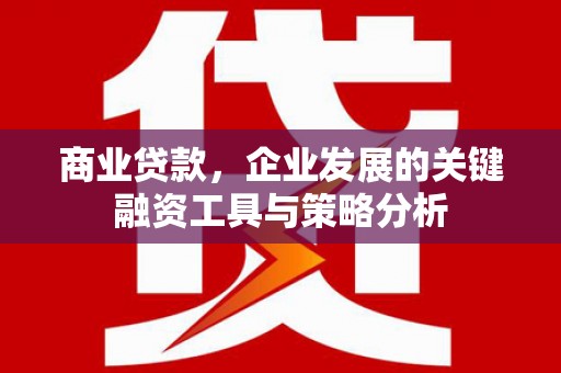 阿莲商业贷款，企业发展的关键融资工具与策略分析