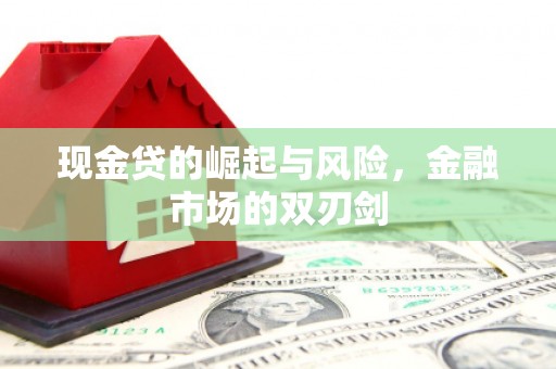 阿莲现金贷的崛起与风险，金融市场的双刃剑