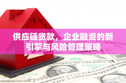 阿莲供应链贷款，企业融资的新引擎与风险管理策略