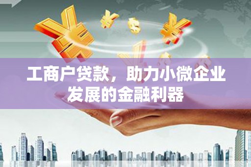 阿莲工商户贷款，助力小微企业发展的金融利器