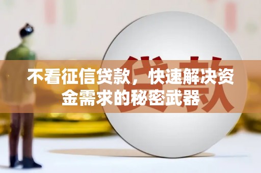 阿莲不看征信贷款，快速解决资金需求的秘密武器