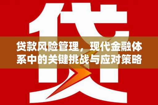 阿莲贷款风险管理，现代金融体系中的关键挑战与应对策略