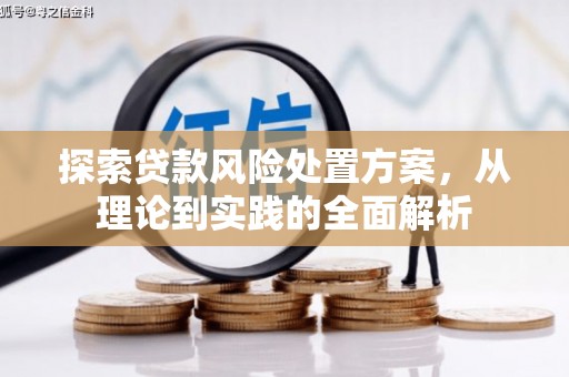 阿莲探索贷款风险处置方案，从理论到实践的全面解析