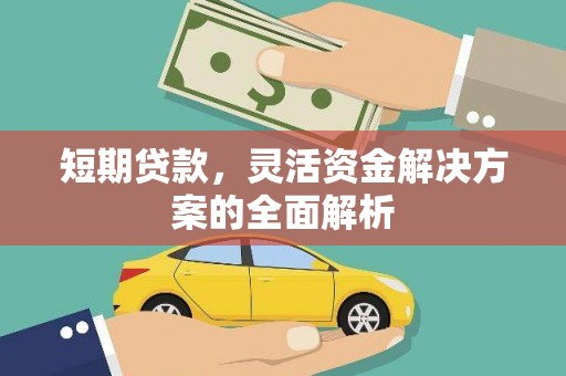 阿莲短期贷款，灵活资金解决方案的全面解析