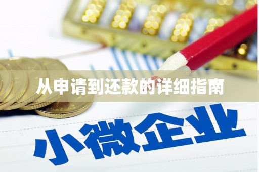 阿莲从申请到还款的详细指南