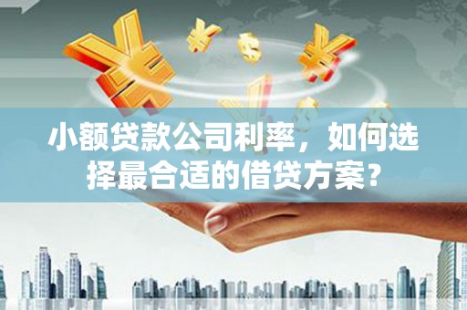 阿莲小额贷款公司利率，如何选择最合适的借贷方案？