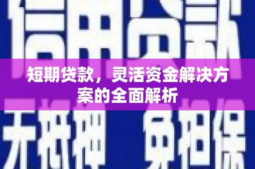 阿莲短期贷款，灵活资金解决方案的全面解析