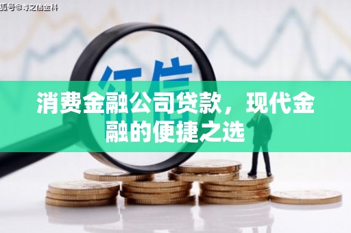 阿莲消费金融公司贷款，现代金融的便捷之选