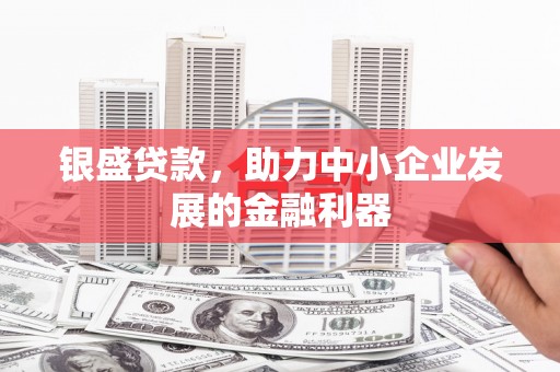 阿莲银盛贷款，助力中小企业发展的金融利器