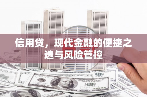 阿莲信用贷，现代金融的便捷之选与风险管控