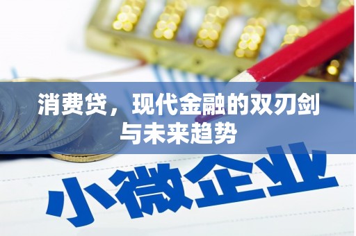 阿莲消费贷，现代金融的双刃剑与未来趋势