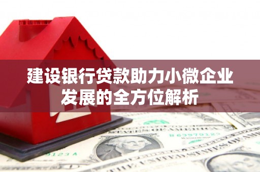 阿莲建设银行贷款助力小微企业发展的全方位解析