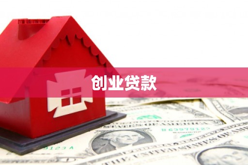 阿莲创业贷款