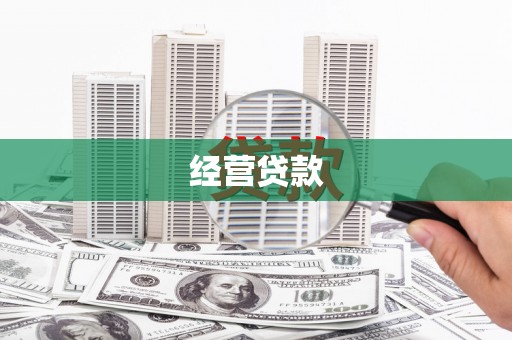 阿莲经营贷款