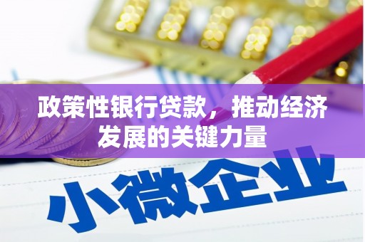 阿莲政策性银行贷款，推动经济发展的关键力量