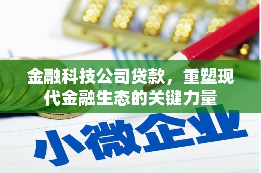 阿莲金融科技公司贷款，重塑现代金融生态的关键力量