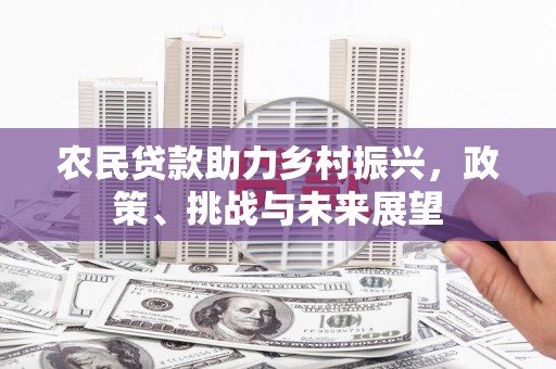 阿莲农民贷款助力乡村振兴，政策、挑战与未来展望