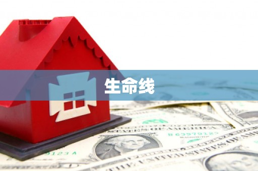 阿莲生命线
