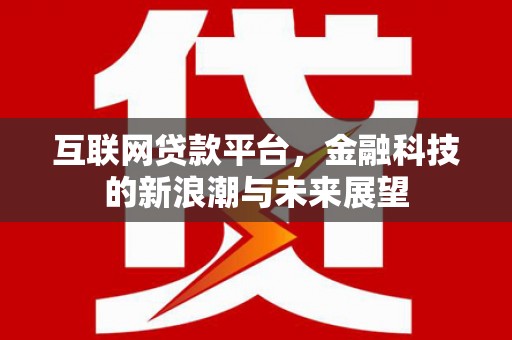 阿莲互联网贷款平台，金融科技的新浪潮与未来展望