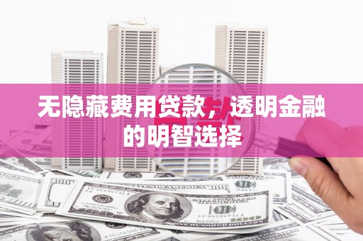 阿莲无隐藏费用贷款，透明金融的明智选择
