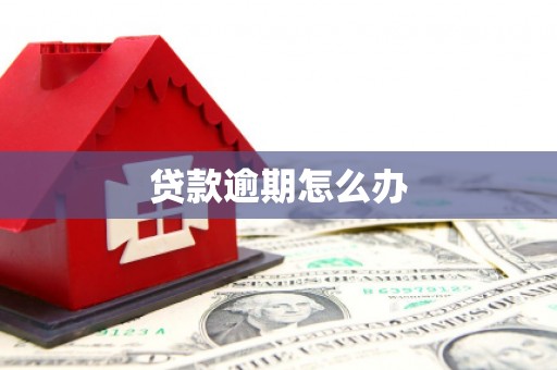 阿莲贷款逾期怎么办