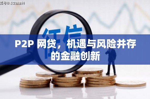阿莲P2P 网贷，机遇与风险并存的金融创新