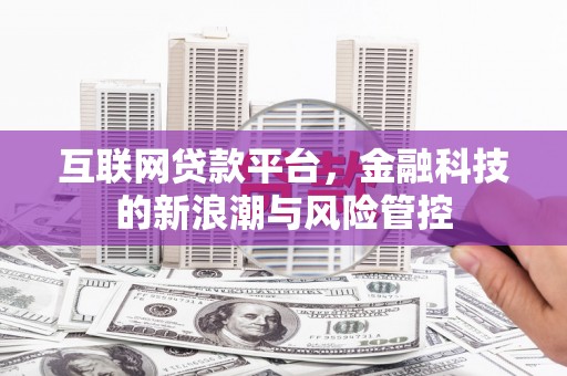 阿莲互联网贷款平台，金融科技的新浪潮与风险管控