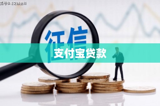 阿莲支付宝贷款