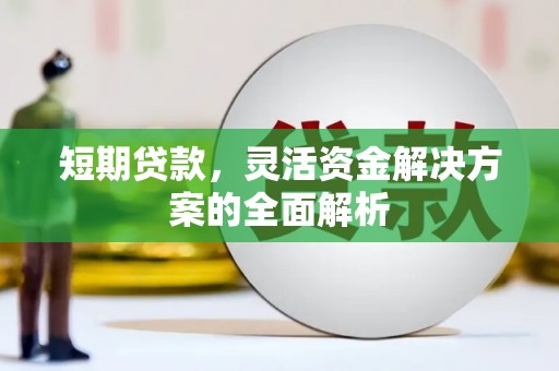 阿莲短期贷款，灵活资金解决方案的全面解析